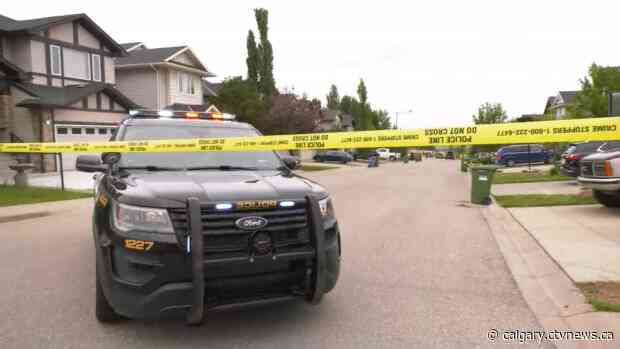 Surveillance video captures sounds of Calgary shooting that left man and his dog dead