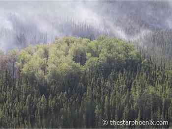 Three wildfires of concern among 30 burning in Saskatchewan