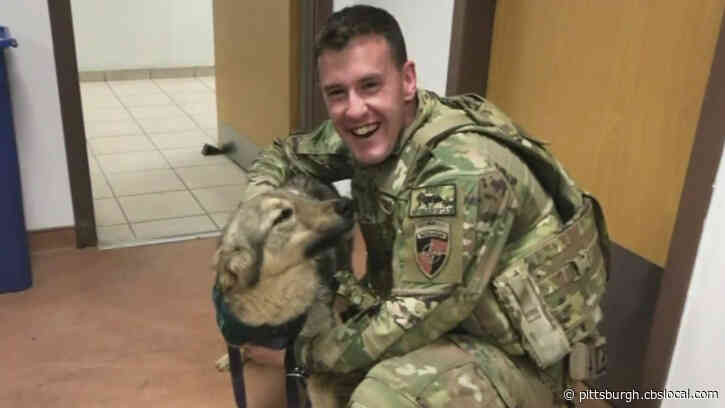 ‘I Just Lost It’: Soldier Returns Home To Find Dog He Fell In Love With In Afghanistan