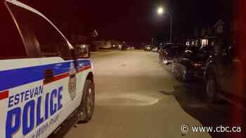 Rare inquiry into workplace culture, health supports launched at Sask.'s Estevan Police Service