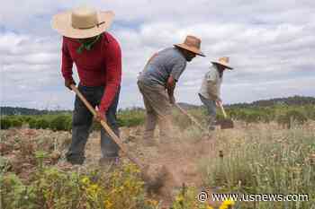 Oregon Adopts Most Protective Heat Rules for Workers in US