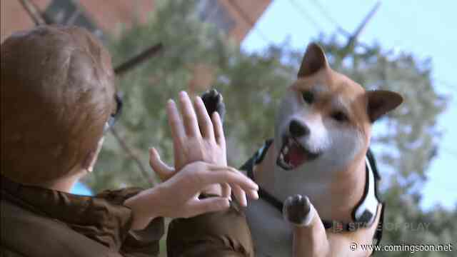 Shibas Attack in the Lost Judgment Gameplay Trailer