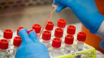 Second child in Virginia dies after contracting the coronavirus - WSLS 10