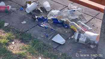 Ständig Ärger wegen Partyzone Donauwiese: Wie die Stadt Ulm dagegen vorgeht - SWP