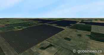 Solar energy in southern Alberta: ‘The best place in Canada to do this kind of work’