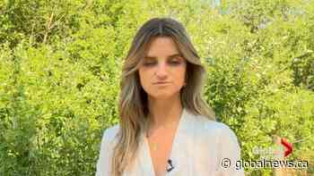 A bright future for southern Alberta