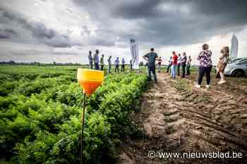 Landbouwdirecteur Greenyard: “Watertekort? We moeten ons schamen!”