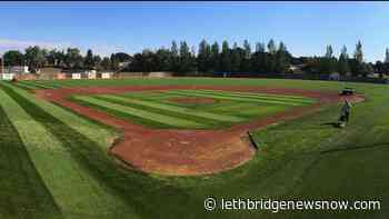 High School Baseball Academy starting in Lethbridge - Lethbridge News Now