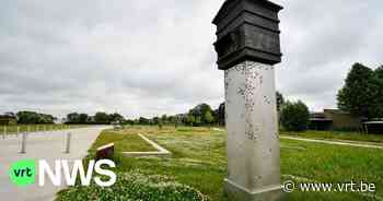 Brivibaplein in Zedelgem krijgt nieuwe naam na kritiek, beslist schepencollege - VRT NWS