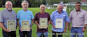 SV Hecklingen trifft gute Entscheidungen - Kenzingen - Badische Zeitung