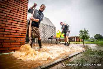 Opnieuw wateroverlast in Limburg na hevige regen: “Het is elke keer hetzelfde liedje”