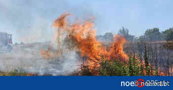 Neuerliche Waldbrände um Neunkirchen - ORF.at