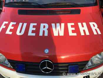 Bezirk Neunkirchen: Erneut Föhrenwald in Flammen +++ Feuerteufel unwahrscheinlich - Neunkirchen - meinbezirk.at
