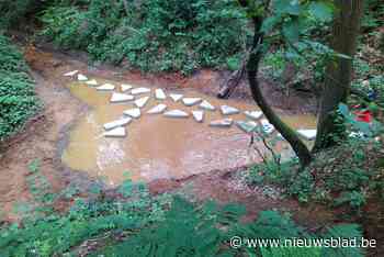 Stapstenen helpen wandelaars op Hoge Weg