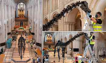 Dippy the dinosaur 85-feet-long diplodocus replica reaches Norwich Cathedral on UK tour