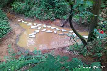 Stapstenen helpen wandelaars op Hoge Weg (Kasterlee) - Gazet van Antwerpen