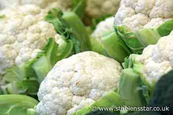 Scientists reveal how cauliflowers develop their unique shape - St Helens Star