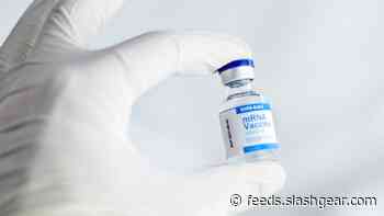 US COVID-19 death rate in June shows why you should get vaccinated ASAP