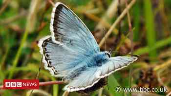 Wildlife Trusts habitat projects aim to tackle climate crisis