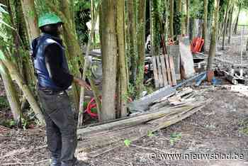 Zuid-West-Vlaanderen gaat daklozen tellen: “Alleen zo kunnen we hen zo goed mogelijk helpen”