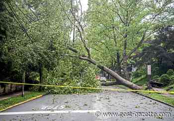 About 500 still without power in Pittsburgh region after Wednesday's storms