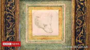 Leonardo Da Vinci bear drawing sells for record £8.8m at auction