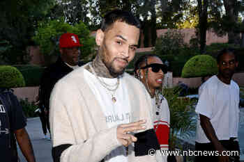 Housekeeper claims Chris Brown's dog mauled her, alleges he euthanized it after
