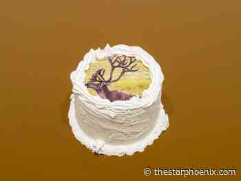 You can still take in online opportunities: Five things to do this weekend in Saskatoon