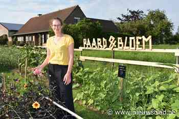 Bij Annelies mag je zelf bloemen oogsten