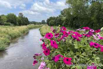 Gemeente stelt klimaatplan voor: “Gebied rond Grote Nete beter gebruiken als spons”