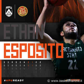 L'Apu Udine non si ferma: ufficiale l'arrivo dell'ala Ethan Vincenzo Esposito - Serie A2 - Basketmarche.it