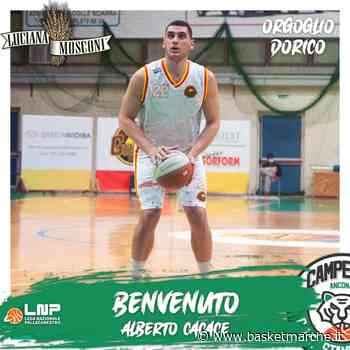 Il Campetto Ancona batte un altro colpo: ufficiale l'arrivo dell'ala Alberto Cacace - Serie B Girone C - Basketmarche.it