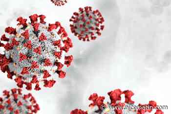 Delta, Epsilon, Lambda... On fait le point sur les 11 variants du coronavirus qui inquiètent l'OMS