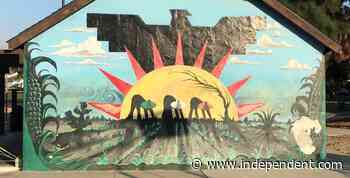 Mural Expert Scott Haskins on Ortega Park Art Conservation - Santa Barbara Independent