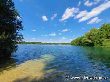 Natuurverengingen en ontginners zoeken consensus over Zandc... (Bocholt) - Het Nieuwsblad