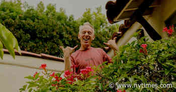 In ‘The White Lotus,’ Mike White Takes You on Vacation