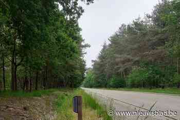 Zo moeten deze spiegels ongevallen met reewild vermijden