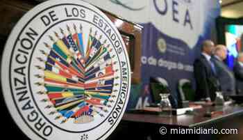 OEA condenó asesinato del presidente de Haití: Es una tentativa de soca... - MiamiDiario.com