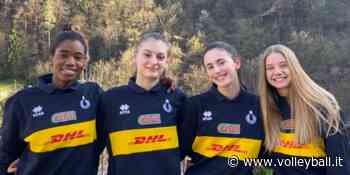 Capponcelli, Manfredini, Marchesini e Mescoli portano Modena in Europa - Volleyball.it