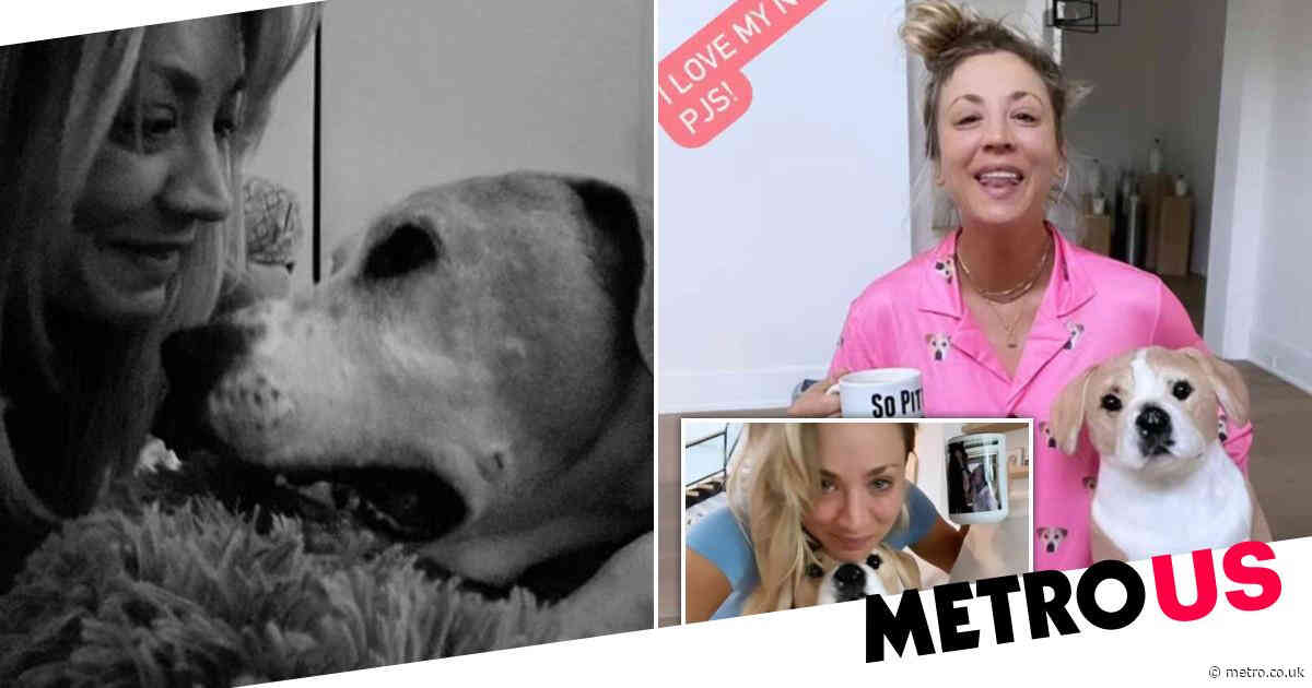 Kaley Cuoco’s husband gifted her stuffed replica of late dog following