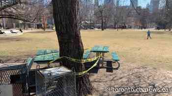 Fines issued to Toronto park users in early days of COVID-19 pandemic were 'generally unfair': ombudsman