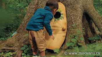 Have Guelph’s delightful ‘fairy doors’ become a forest plague? - Maclean's