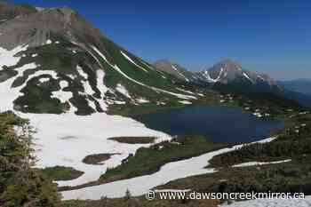 Windfall Forest Service Road open, hikers advised to use caution - Dawson Creek Mirror