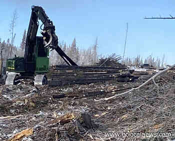 Chinook Community Forest gets $800000 to rebuild – BC Local News - BCLocalNews