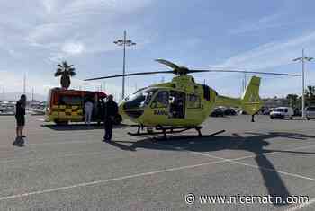 Un enfant de 2 ans mordu au visage par un chien lors d'une fête d'anniversaire dans le Var