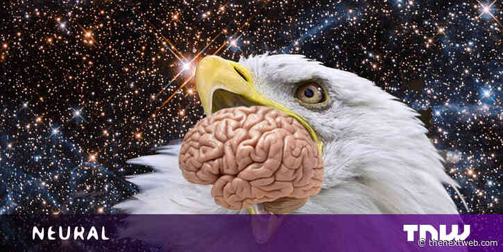 Neural’s Mind Blowers: How quantum bird brains could give us superpowers