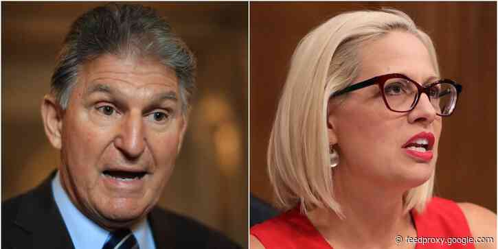 GOP lawmakers caught on video telling activists to thank Manchin and Sinema for not blowing up the filibuster: 'Without that we would be dead meat'