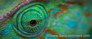 Nach Artikel 9 SFDR Nordea Asset Management startet weiteren nachhaltigen Aktienfonds - DAS INVESTMENT.com