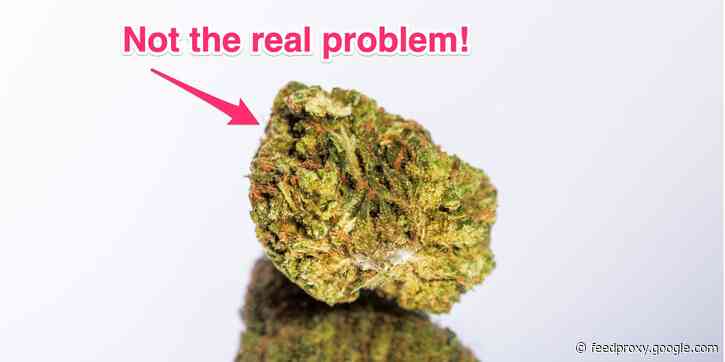 The trucking industry is doubling down on booting marijuana smokers, and it's getting a little ridiculous