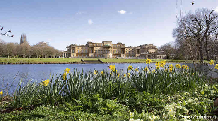 More tickets released for Buckingham Palace picnics this summer